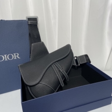 Dior Saddle Bags